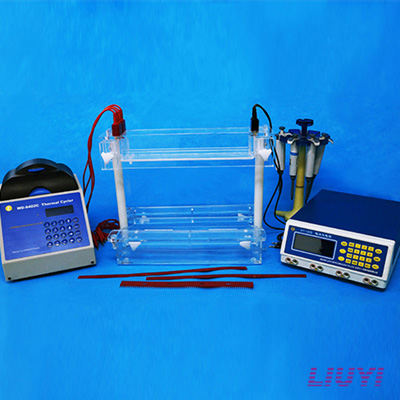 北京六一種子DNA檢測系統