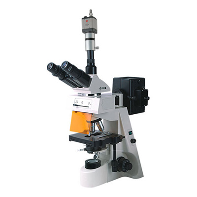 BM-19AYC熒光顯微鏡（電腦、落射）